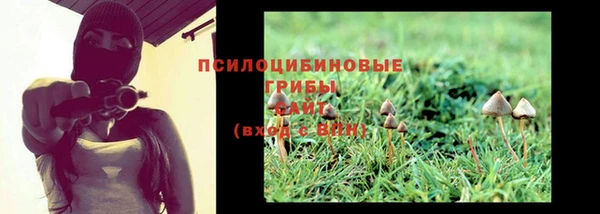 СК Валдай