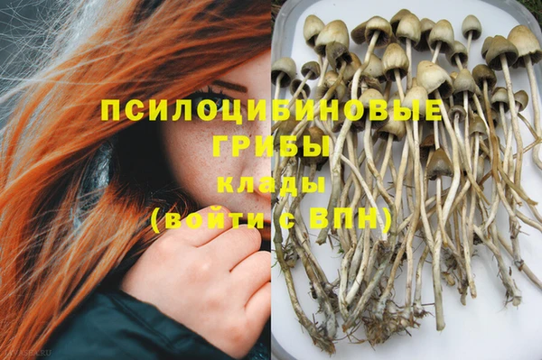 стафф Навашино