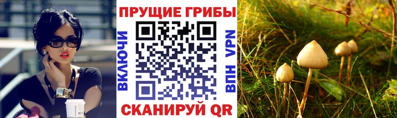 Псилоцибиновые грибы Magic Shrooms Отрадная